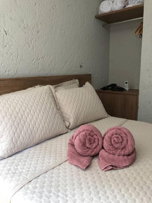 Recanto Dos Coqueirais São Miguel dos Milagres Extérieur photo